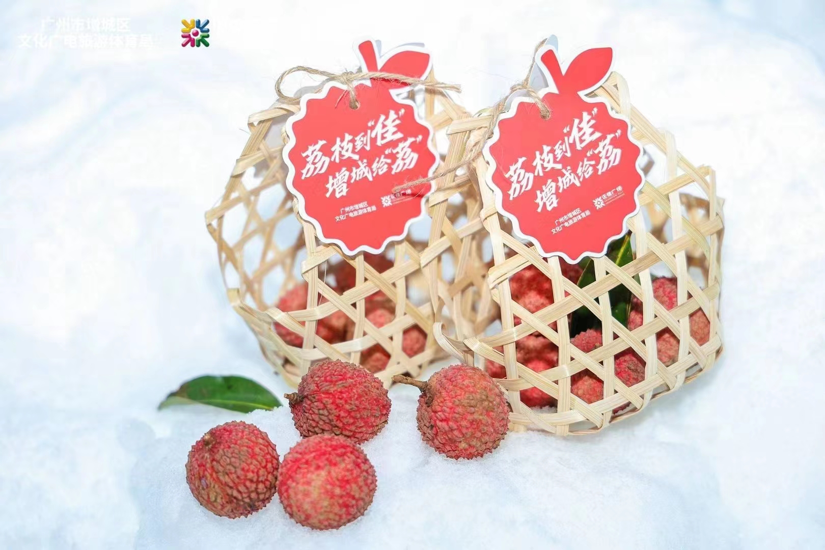 1741815546.jpg 1741815546.jpg