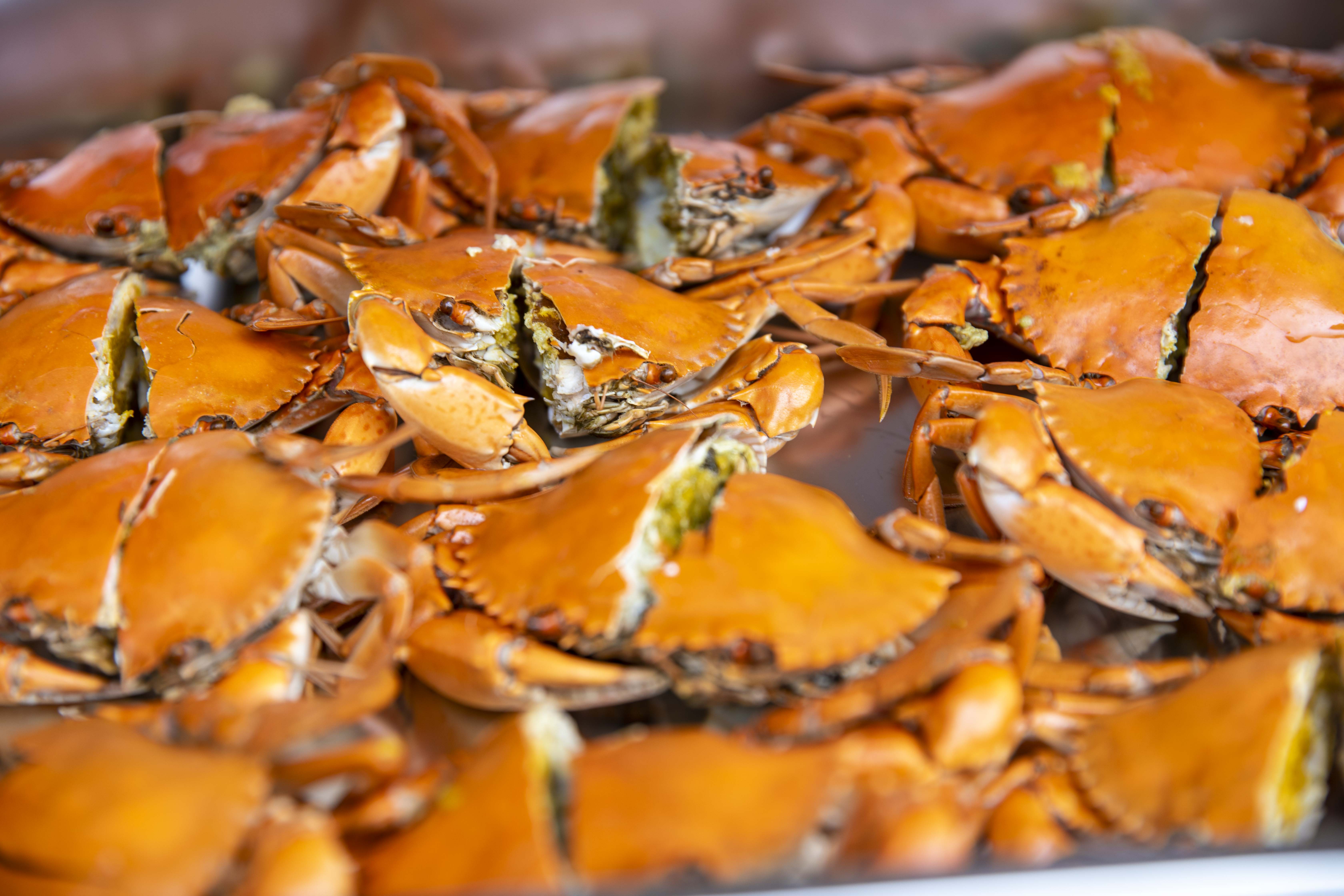 烹饪有机阿拉斯加帝王蟹腿黄油和柠檬，阿拉斯加帝王蟹在复古的木制背景。照片摄影图片_ID:363618926-Veer图库