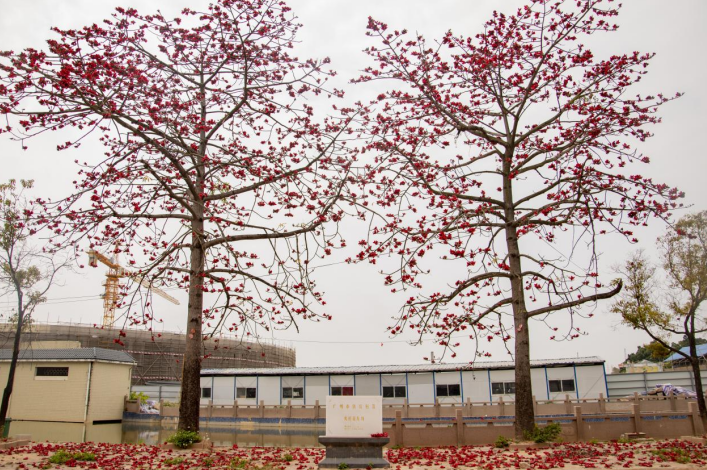 1690266998097080443.png image.png