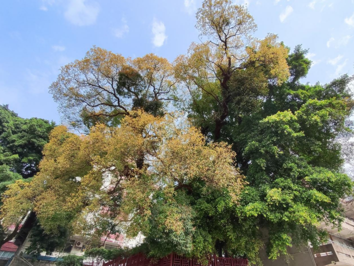 1690267325412094227.png image.png