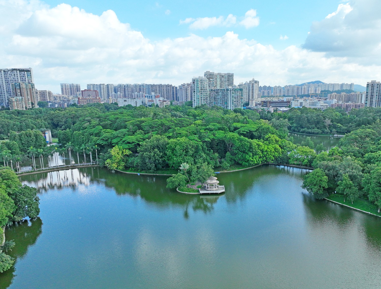 1 天河公园是广州市天河区的一处城央公园，公园内林木葱茏，花草繁茂，景色宜人。（摄影：何小茹）a.jpg