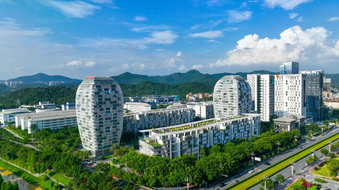 香雪国际公寓3 李剑锋 摄.jpg 图片