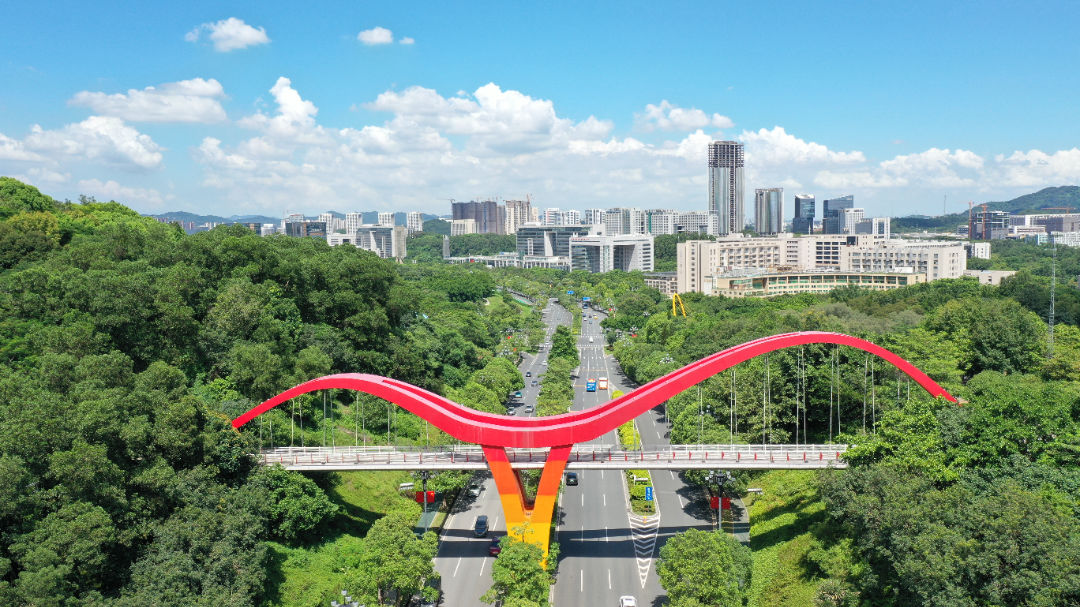 科学城 云端绿道-腾翔桥 2021.7. 李剑锋 (2).jpg 图片