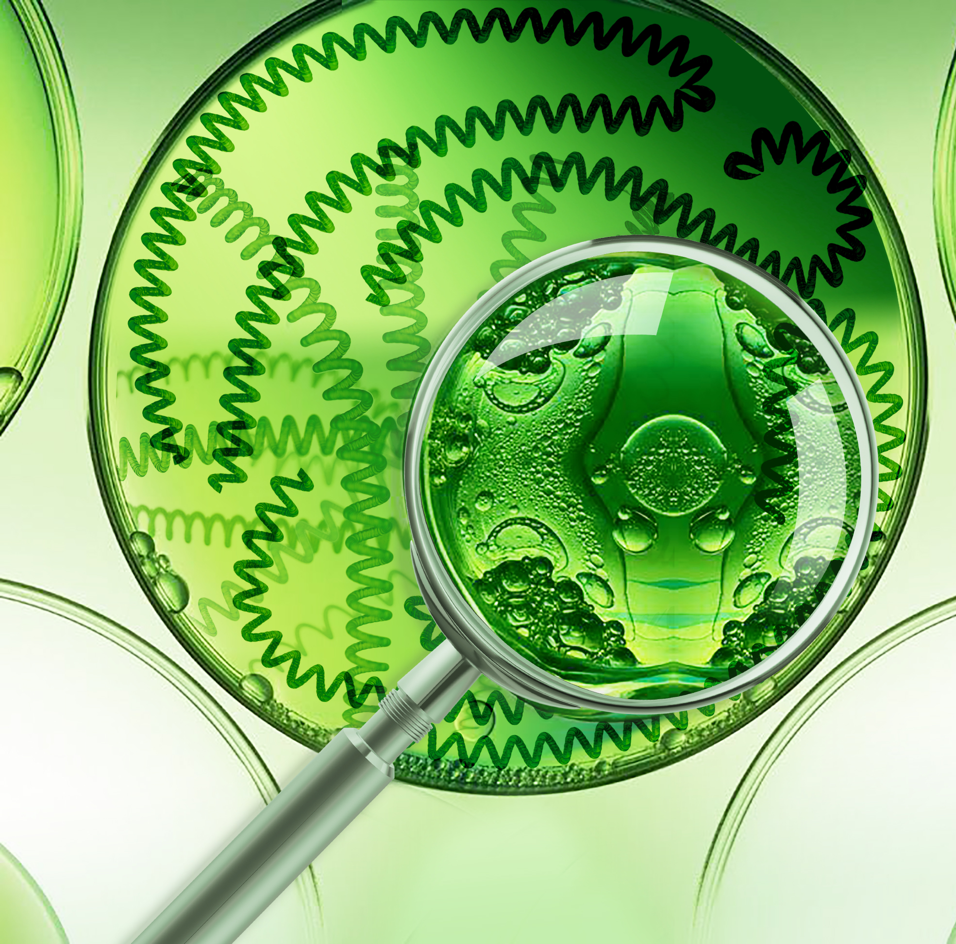 H11太空藻微观效果图(受访者供图).jpg H11太空藻微观效果图(受访者供图).jpg