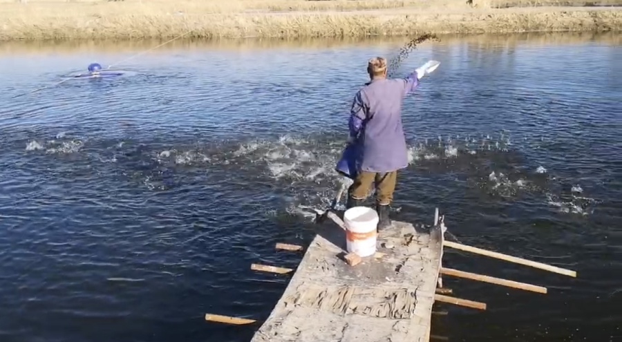 _2023_9_zhongdw202397188267089548