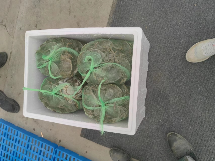 _2023_9_zhongdw202397188267089550