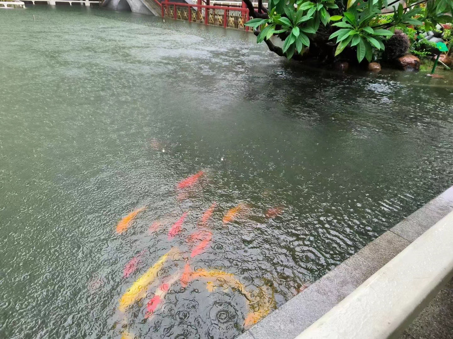 微信图片_20230908145418