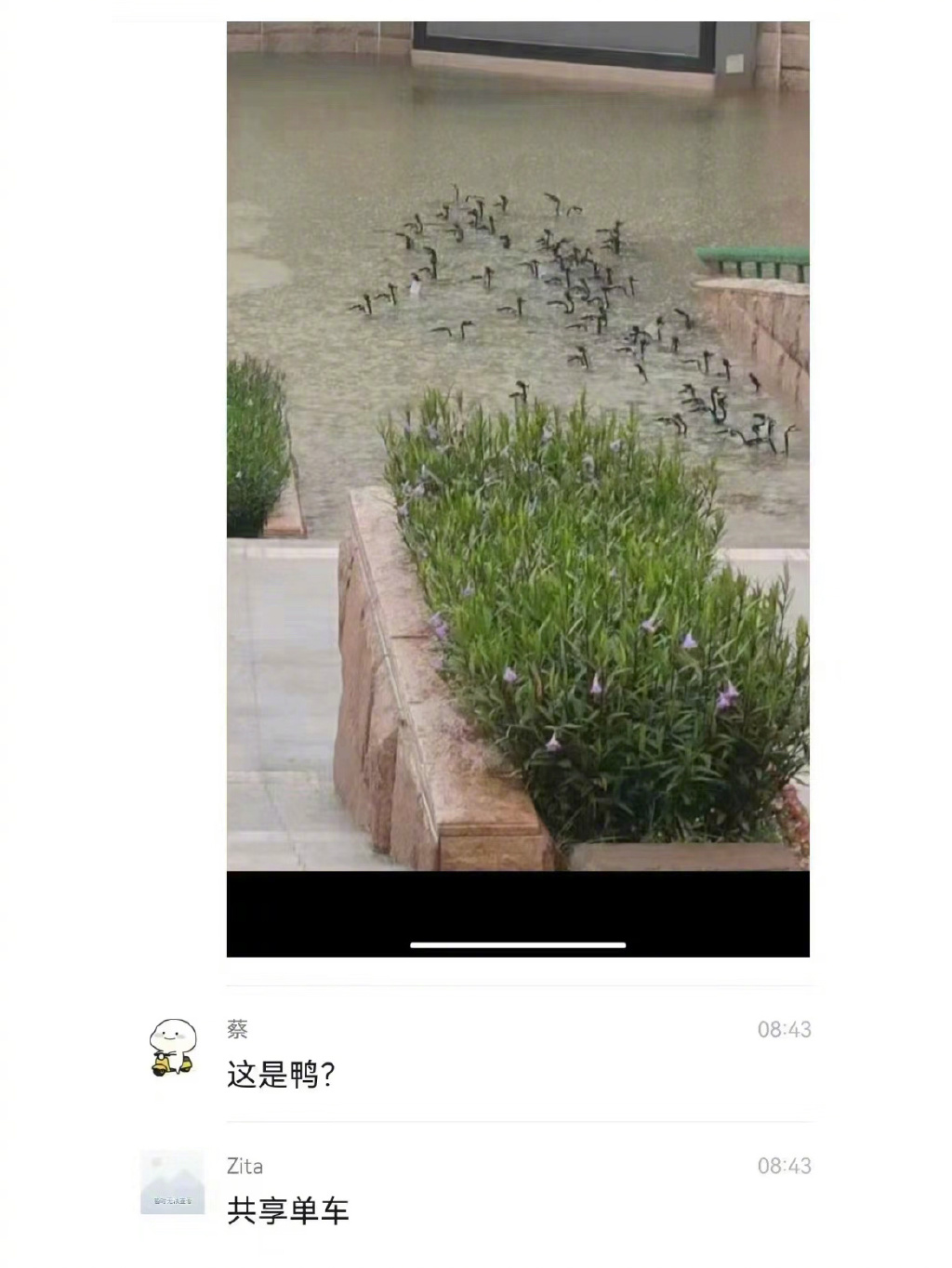 微信图片_20230908160911