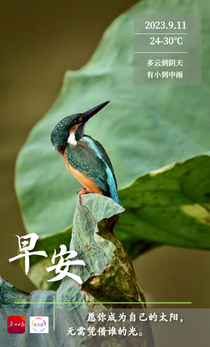 1694355516100085002.png image.png