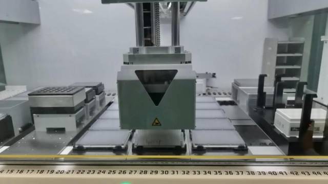 合成生物高通量自动化平台进行单细胞分选前的孔板制备工作。（图片来源：科研团队供图）