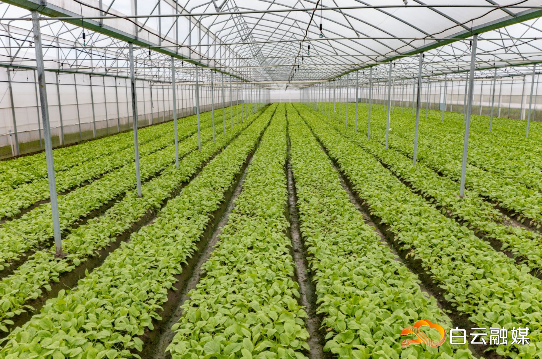 QQ图片20230923175710 QQ图片20230923175710