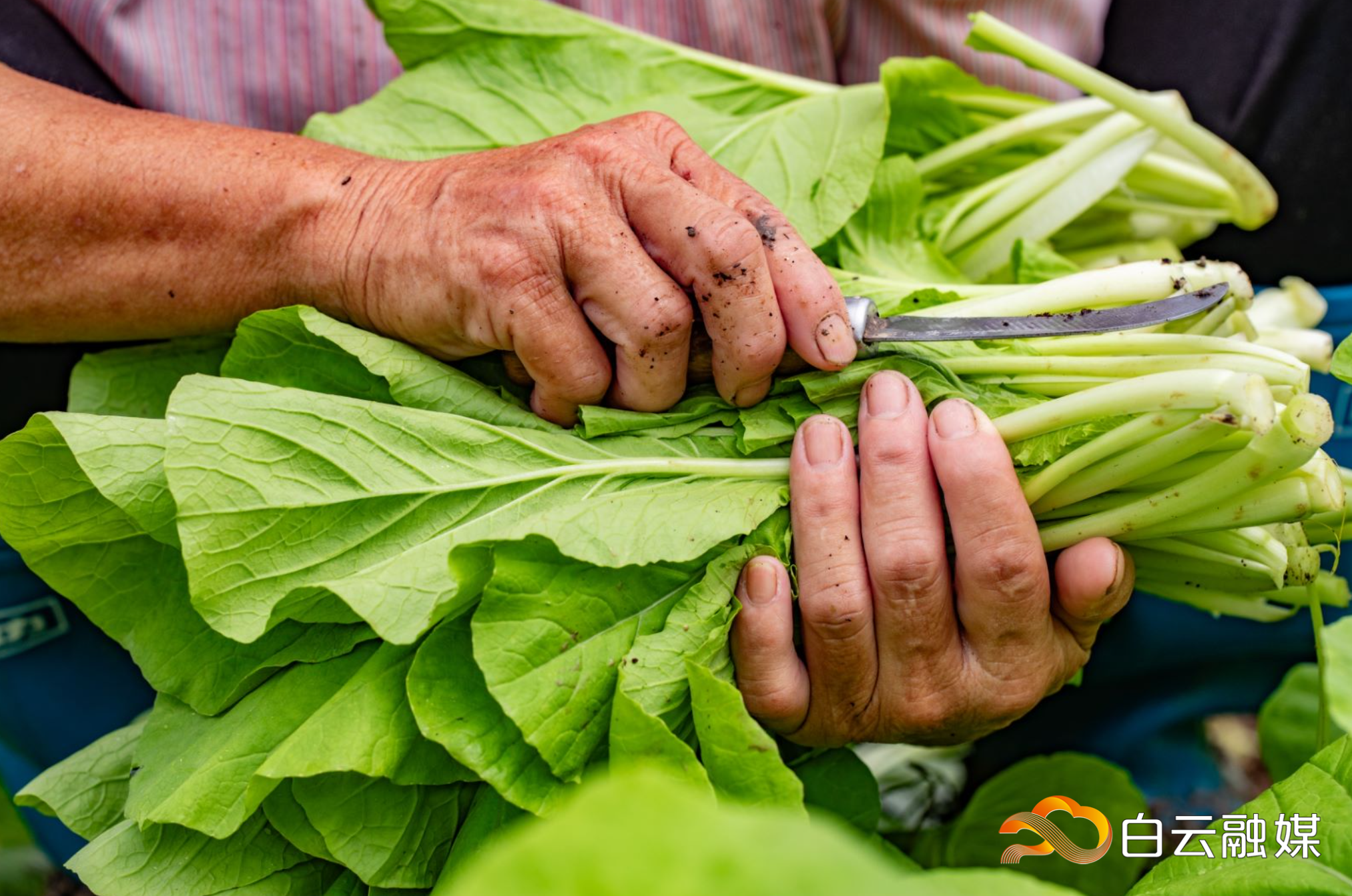 微信图片_20230923181820