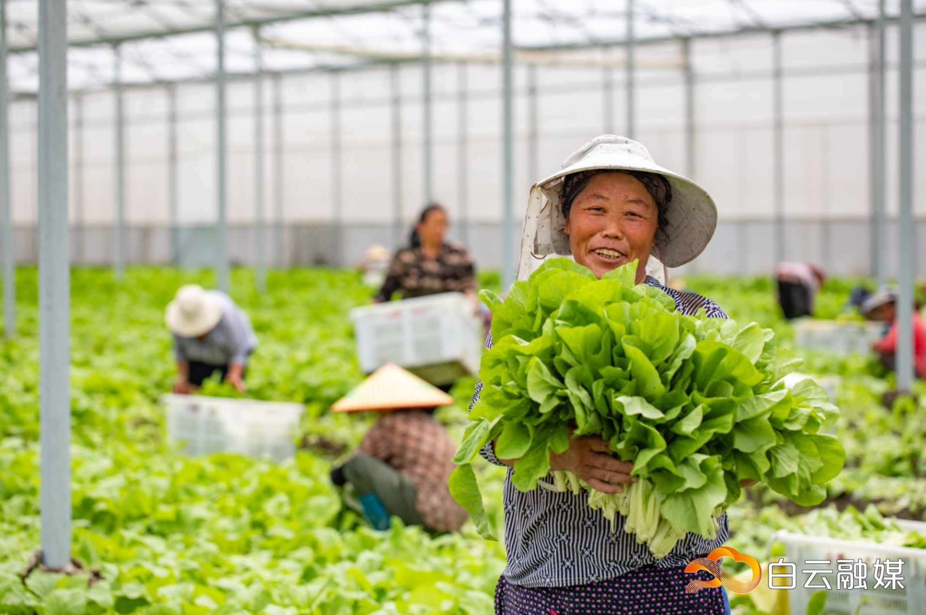 QQ图片20230923175313