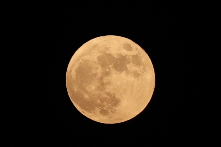 1695994674551088775.jpg 微信图片_20230929193509.jpg