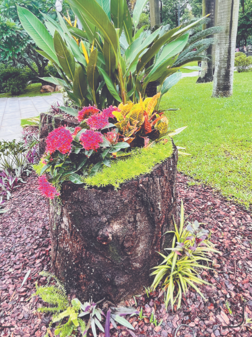 微信图片_20231003074501