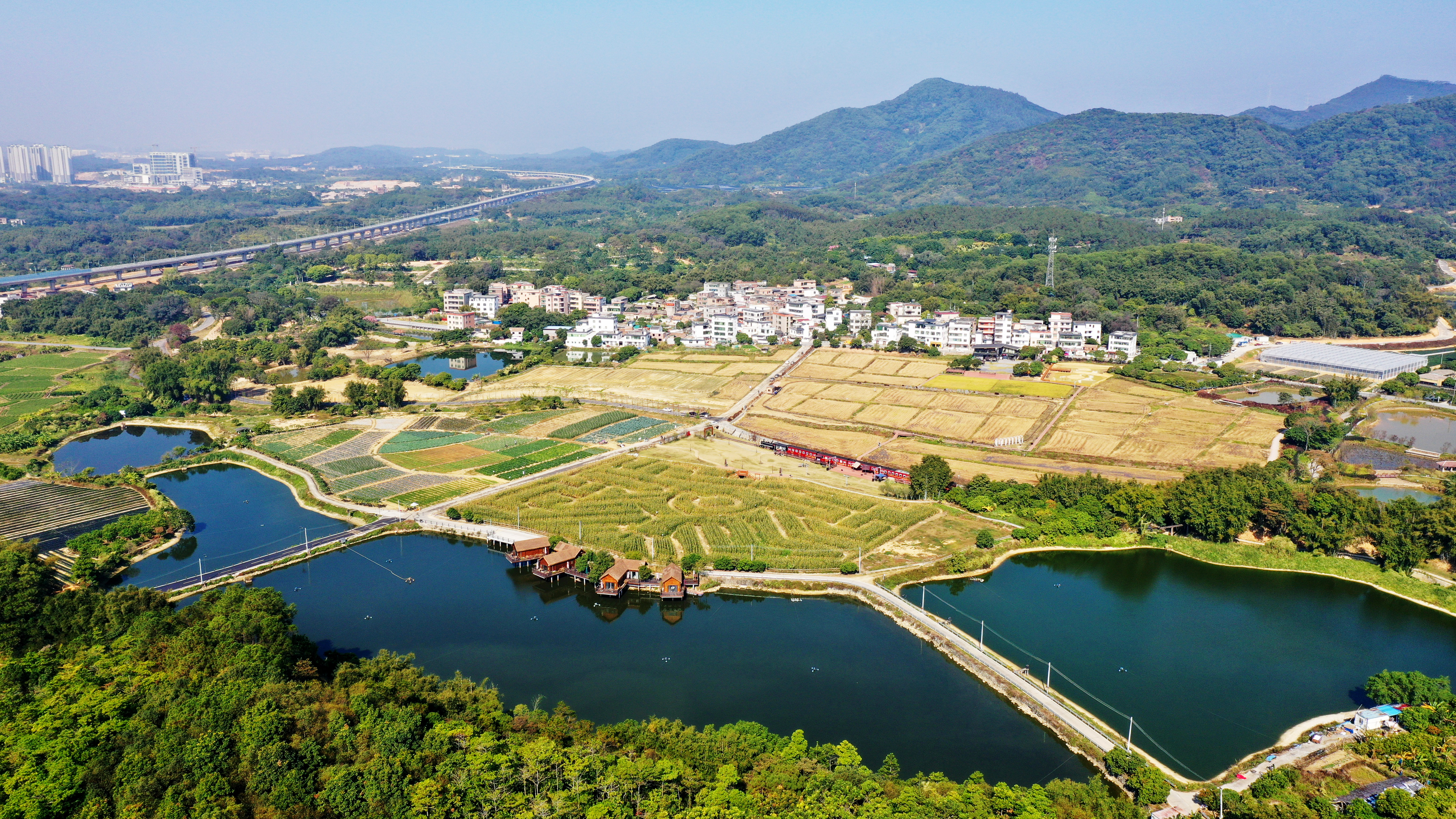 _2023_10_herq2023104182207203491