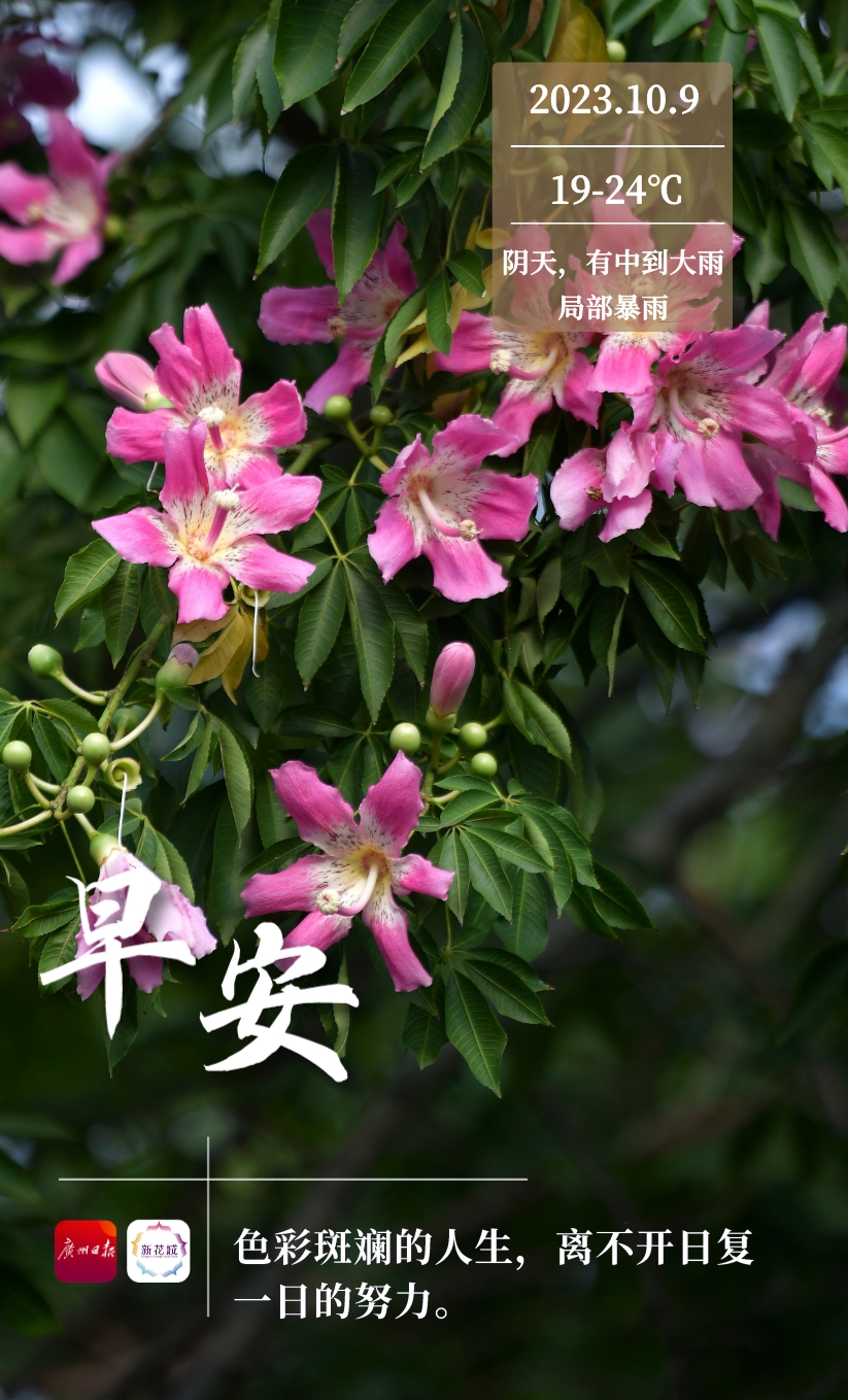 1696770722177098381.jpg 3d3949be192ef6ca85759af6611626fe_.jpg