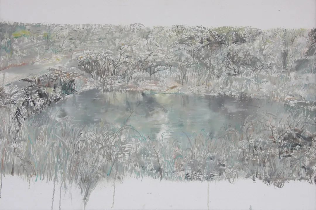 多么清净的一洼水