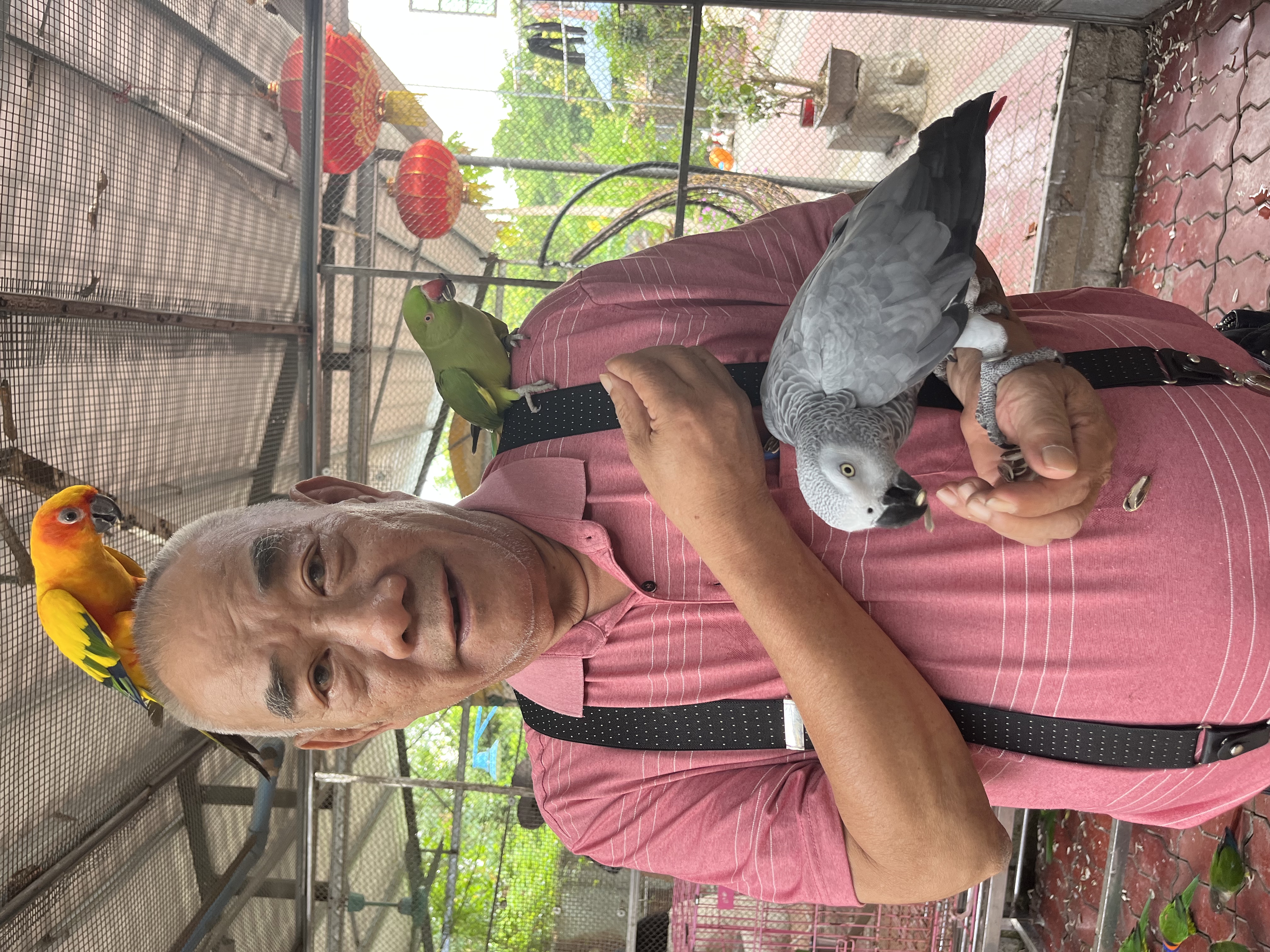 2621697978965_.pic_hd