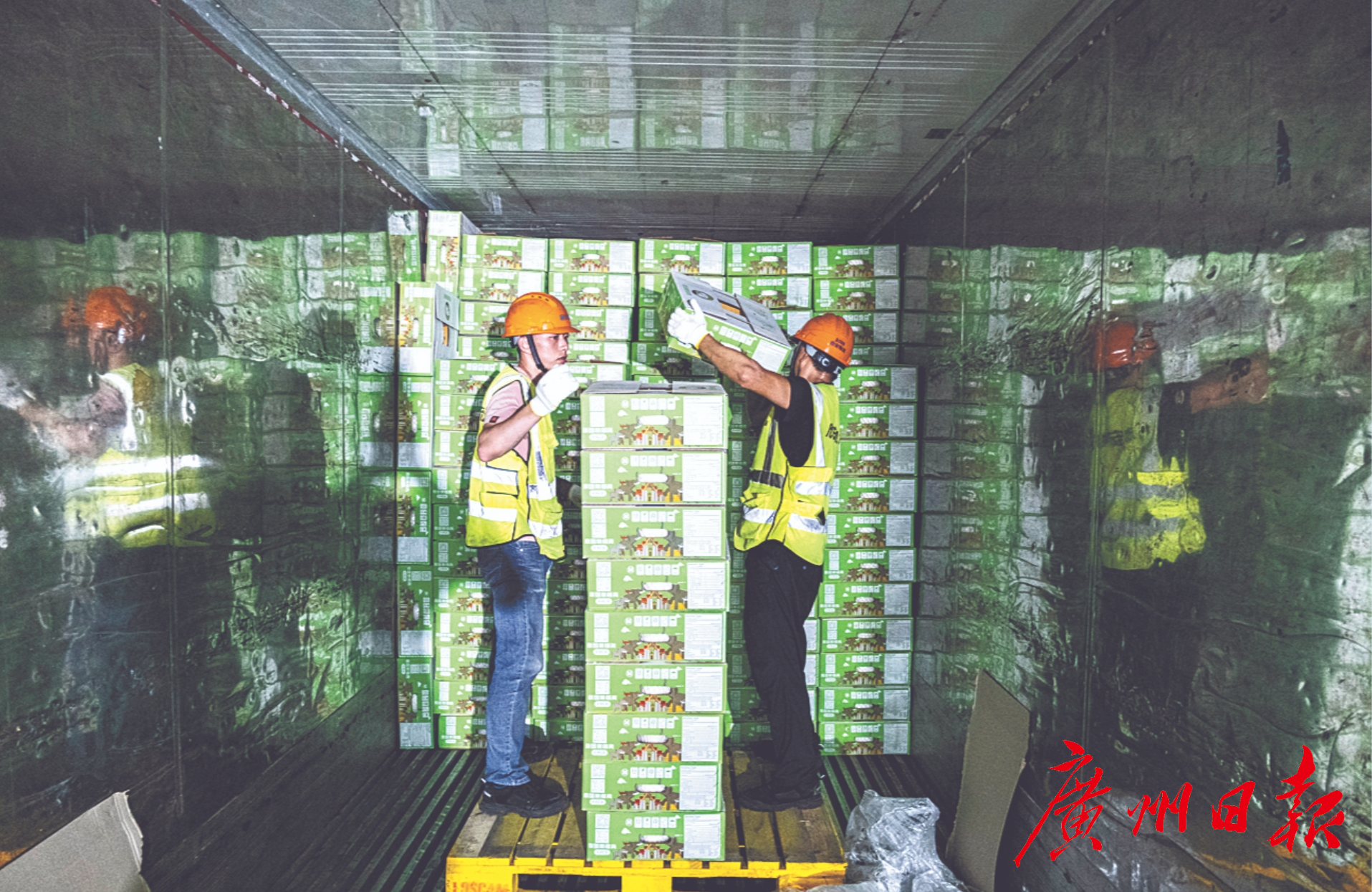 微信截图_20231030063624