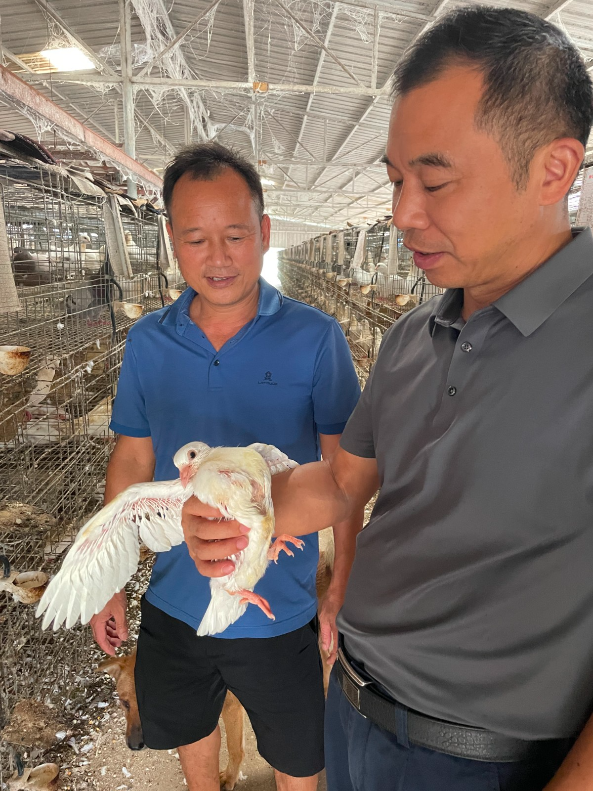 微信图片_20240826164801.jpg 微信图片_20240826164801.jpg