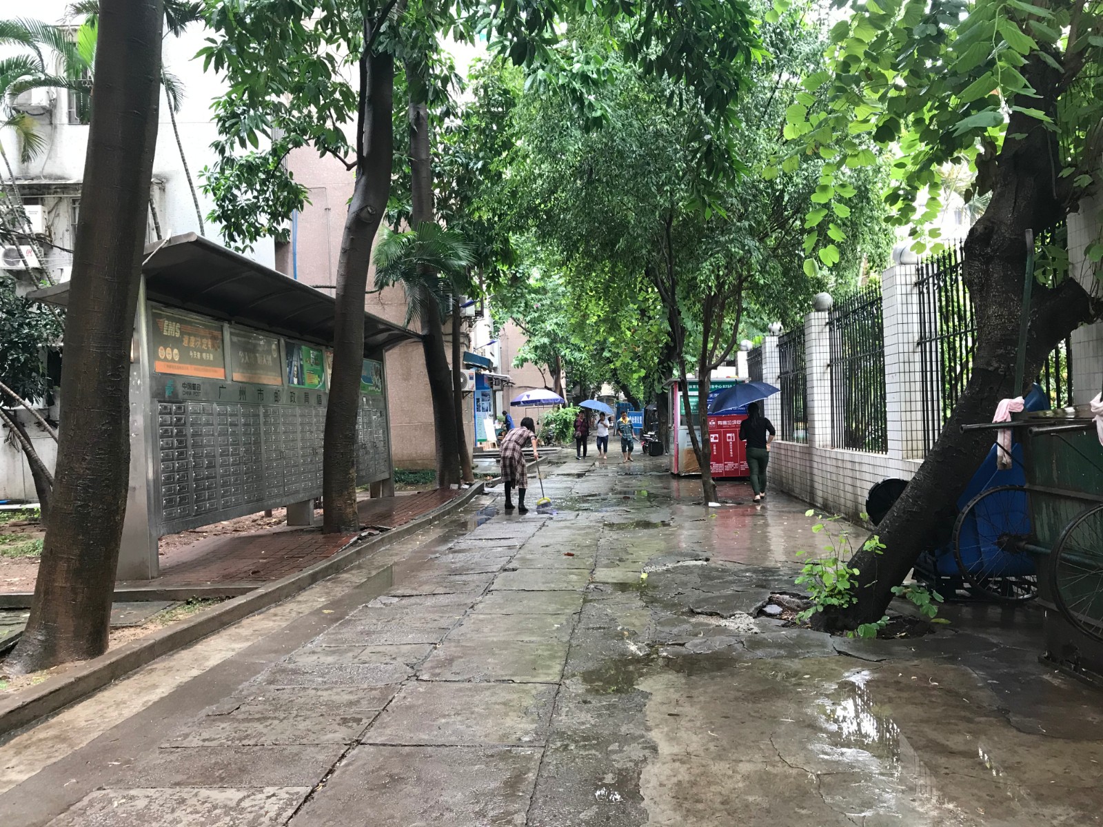 安全上学路(改造前)